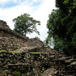 Ruinen von Yaxchilan-4