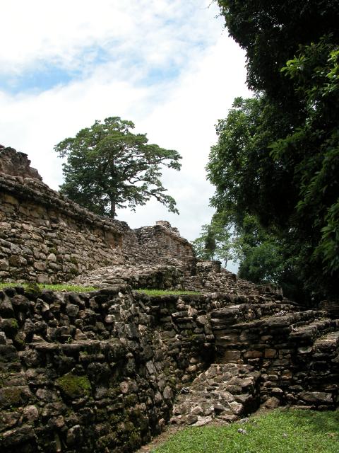 Ruinen von Yaxchilan-4