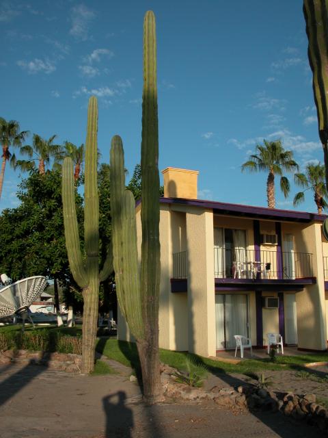 Hotel Desert Inn Loreto