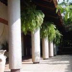 Hotel Ciudad Real Palenque-8