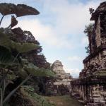 Archäologische Zone von Palenque-5