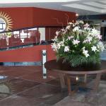 Hotel Oasis Palm Beach-3