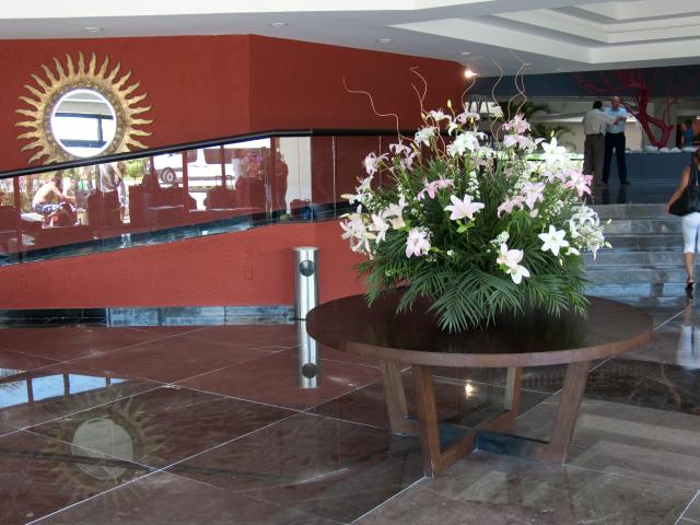 Hotel Oasis Palm Beach-3