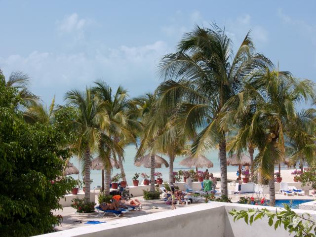 Hotel Oasis Palm Beach-5