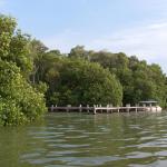 Mangroven Biosphärenreservat Celestún-26