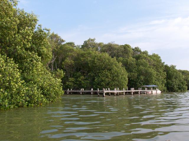 Mangroven Biosphärenreservat Celestún-26