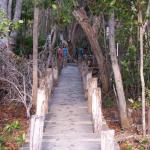 Mangroven Biosphärenreservat Celestún-28