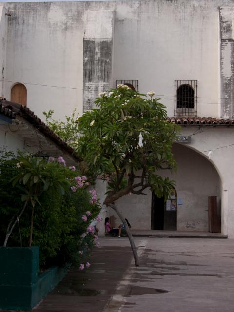 Casa de la Cultura Tehuantepec