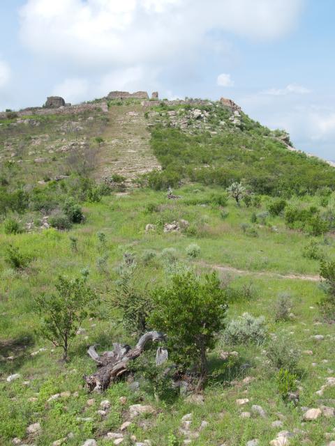 Archäologische Zone La Quemada-18