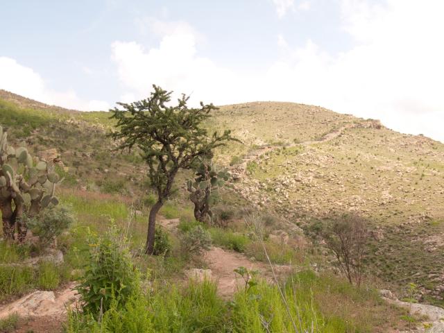 Archäologische Zone La Quemada-24