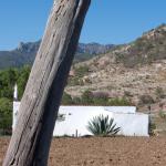 Berge und Impressionen in der Umgebung von Jerez-5