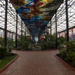 Botanischer Garten Toluca-7
