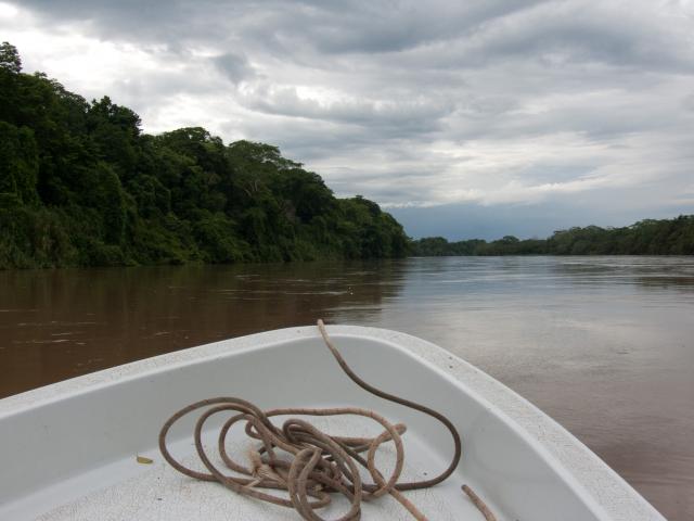 Impressionen entlang des  Río Lacantun -1