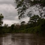 Impressionen entlang des  Río Lacantun -9