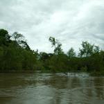 Impressionen entlang des  Río Lacantun -12