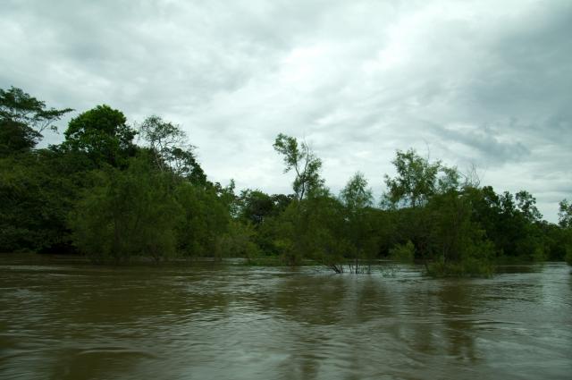 Impressionen entlang des  Río Lacantun -12
