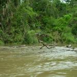 Impressionen entlang des  Río Lacantun -14