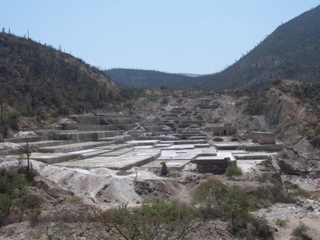 Salineras - Salzgewinnung bei Zapotitlán-3
