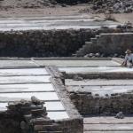 Salineras - Salzgewinnung bei Zapotitlán-4