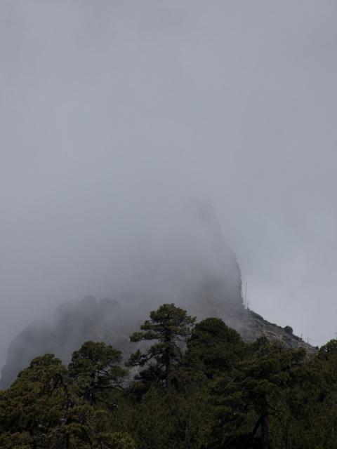 Wanderung Vulkan Cofre de Perote-15