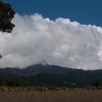 Wanderung Vulkan Cofre de Perote-19