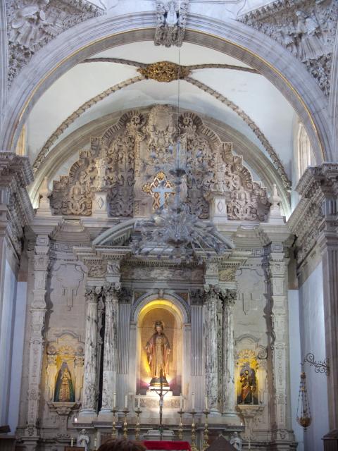 Kathedrale Chihuahua-6