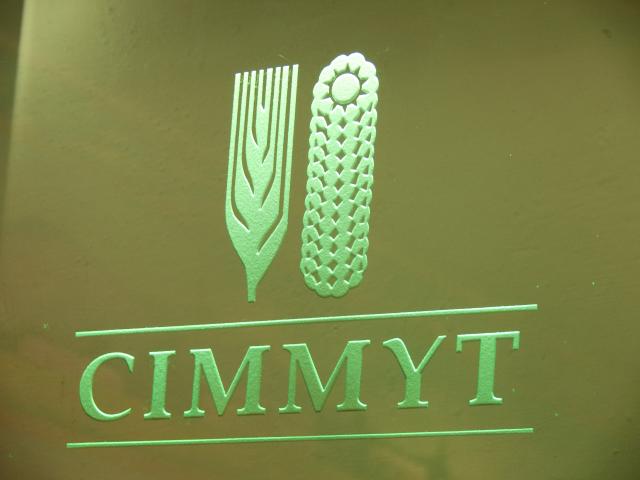 CIMMYT - Forschungsinstitut-11