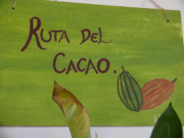 Kakao-Plantage Finca Cacep in Comalcalco-2
