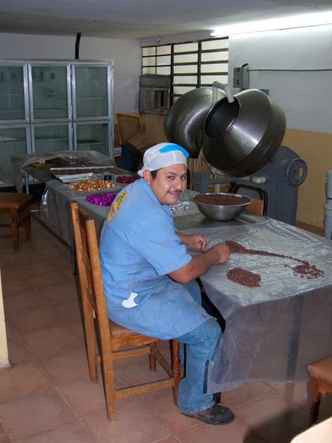 Kakao-Plantage Finca Cacep in Comalcalco-27