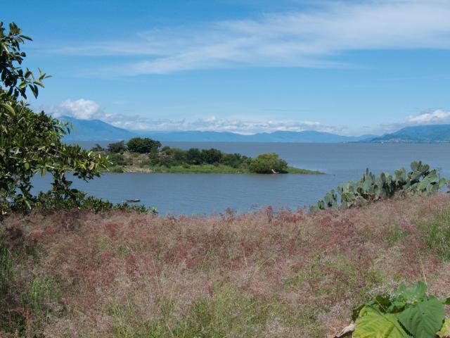 Fahrt zur Isla de Mezcala - Lago Chapala-5