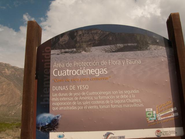 Valle de Cuatro Ciénegas, Dunas de Yeso-2