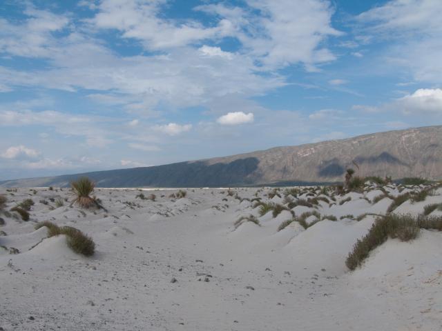Valle de Cuatro Ciénegas, Dunas de Yeso-6