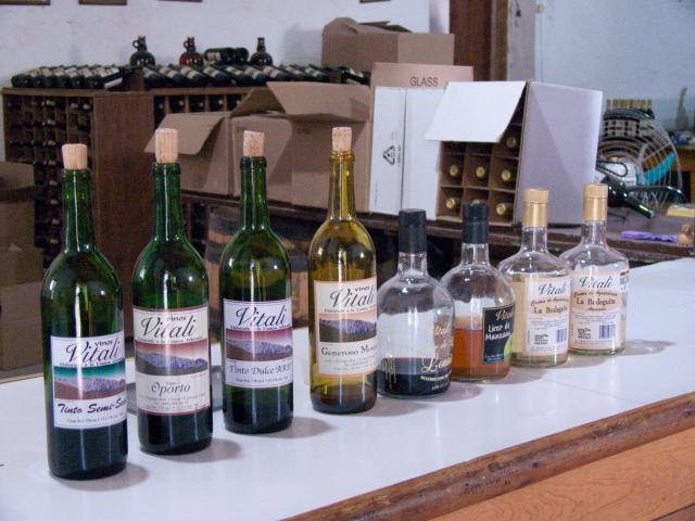 Weinkellerei Vinos Vitali Cuatro Ciénegas-3