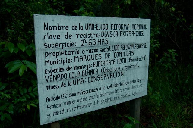 Im Dschungel von Las Guacamayas-3