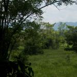 Im Dschungel von Las Guacamayas-9