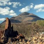 Fasskaktus-in-der-Wüste-bei-Vulkan-Tres-Virgenes