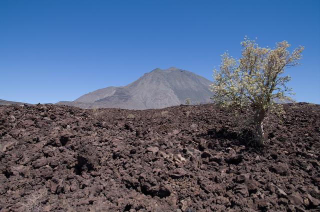 Wanderung Vulkan Tres Virgenes-9