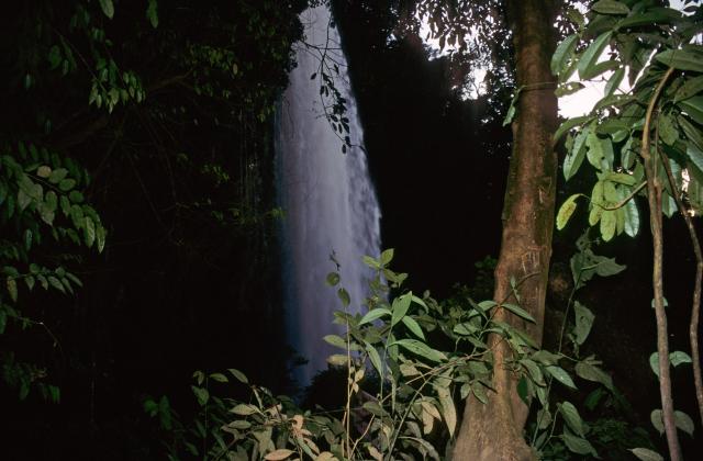 Wasserfall Misol-Ha