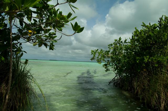 In der Laguna Muyil-13