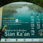 Wanderung im Reserva de la Biósfera Sian Ka'an