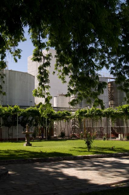Weingut Casa Madero in Parras und Museo del Vino-7