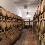 Weingut Casa Madero in Parras und Museo del Vino-21
