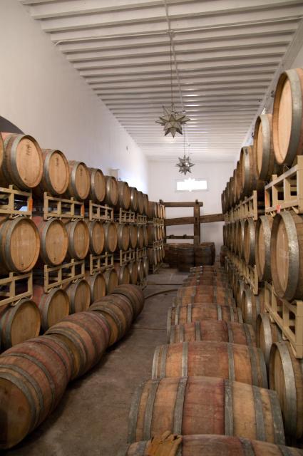 Weingut Casa Madero in Parras und Museo del Vino-21