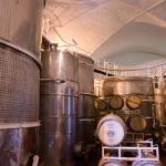 Weingut Casa Madero in Parras und Museo del Vino-22