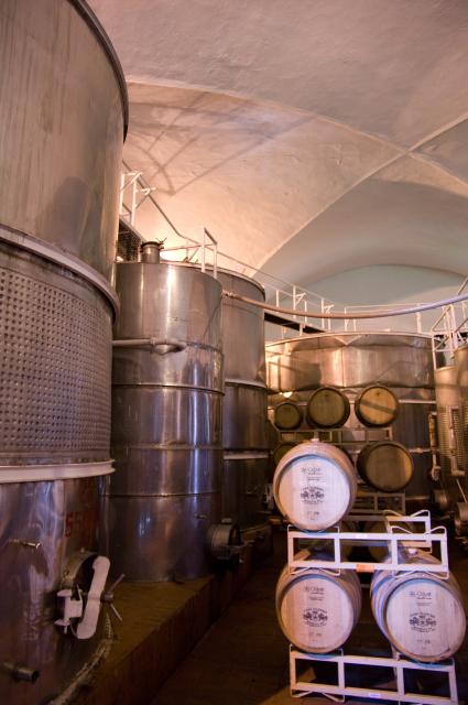 Weingut Casa Madero in Parras und Museo del Vino-22
