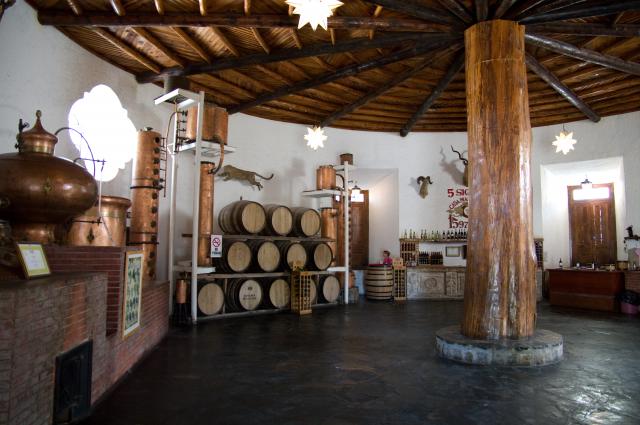 Weingut Casa Madero in Parras und Museo del Vino-24