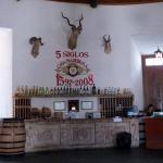 Weingut Casa Madero in Parras und Museo del Vino-25