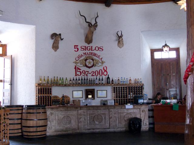 Weingut Casa Madero in Parras und Museo del Vino-25