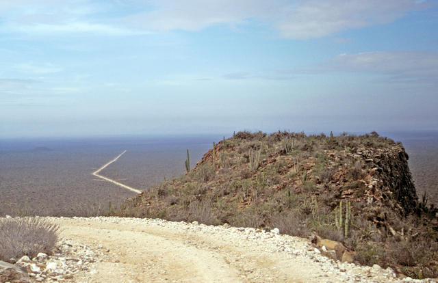 Wüste bei San Ignacio