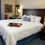 Hampton Inn & Suites by Hilton-15.jpg